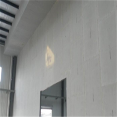 崇州新型建筑材料掺多种工业废渣的ALC|ACC|FPS模块板材轻质隔墙板